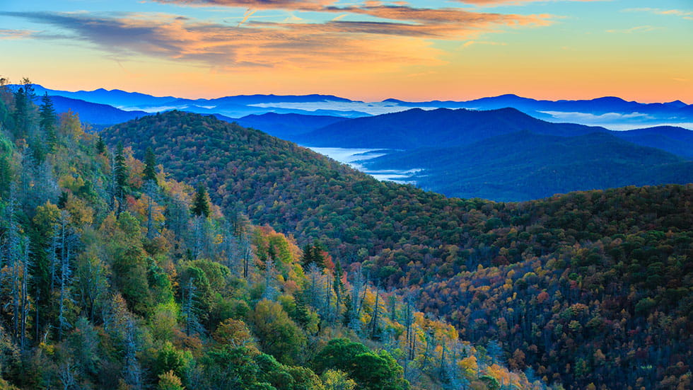 The Blue Ridge Mountains at Sunrise. Photo by jaredkay/iStock.com