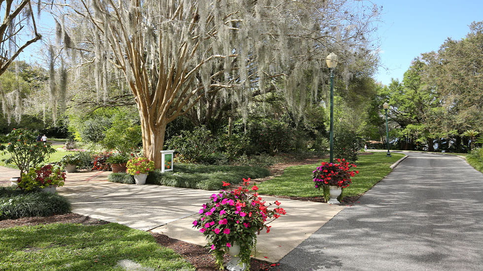 Harry P. Leu Gardens in Orlando, FL