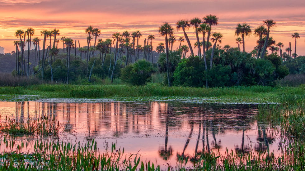 Wetlands Park in Orlando, FL