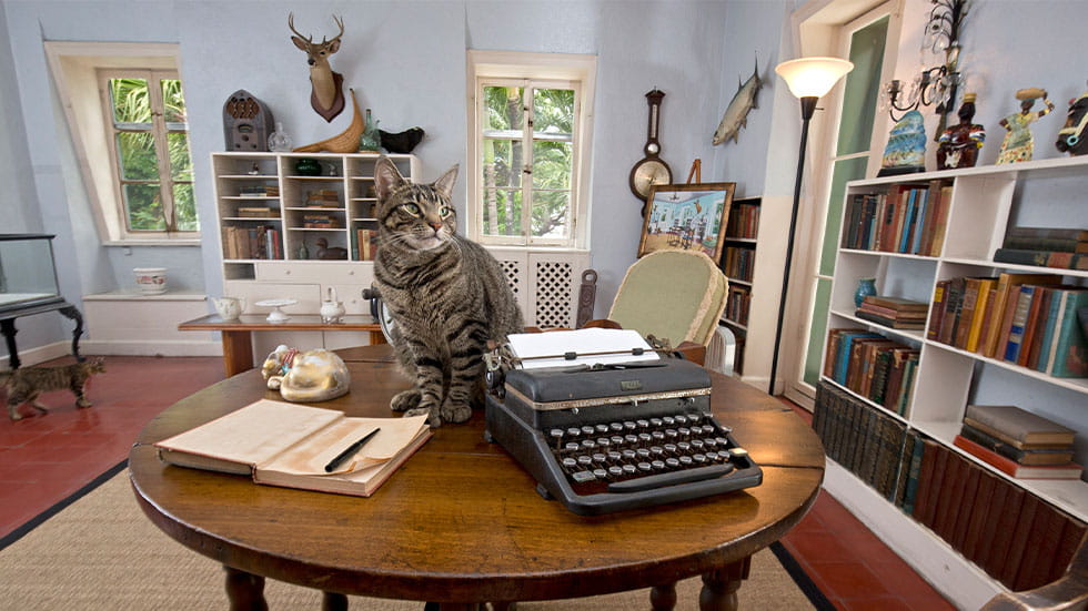  Ernest Hemingway Home and Museum in Key West, Florida