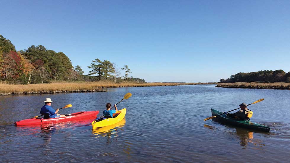 Delmarva MD Paddling on Assateague Photo credit Worcester County Tourism