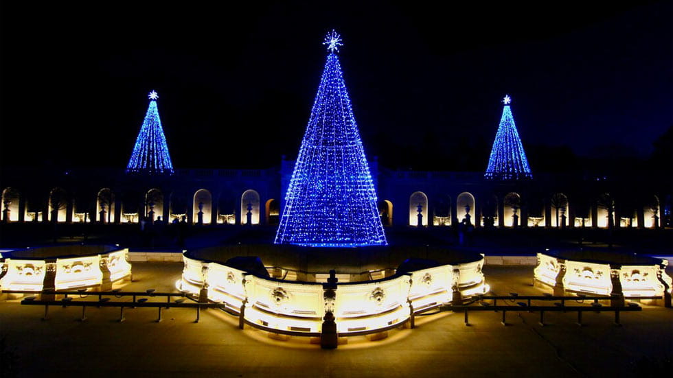 Blue Christmas Lights at Longwood Gardens