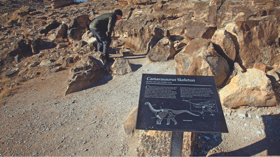 Colorado’s Rabbit Valley Trail Through Time fossil quarry