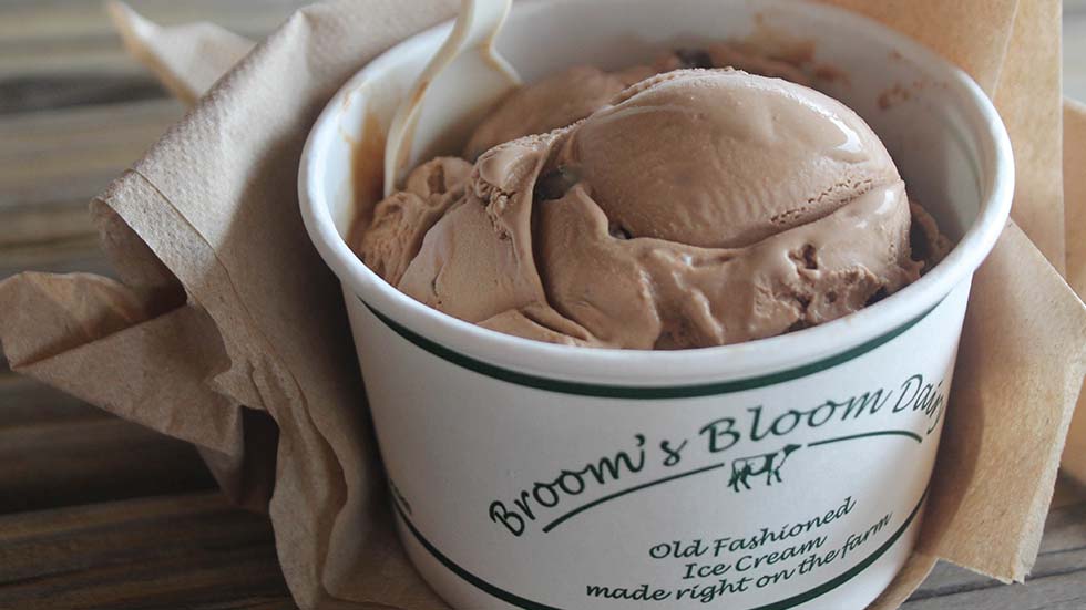 Broom's Bloom Ice Cream
