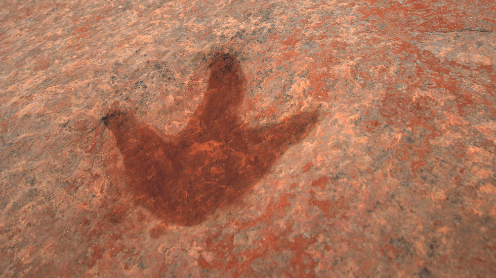 A 200-million-year-old Dilophosaurus track in Red Fleet State Park