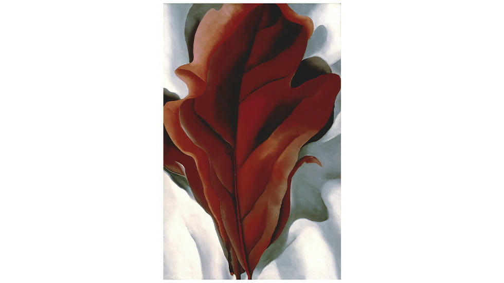 Georgia O'Keeffe's Large Dark Red Leaves