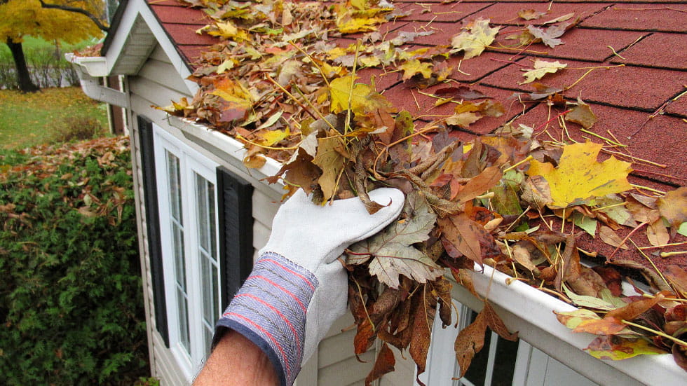 Gloved hand cleaning leaves out of gutters on a house