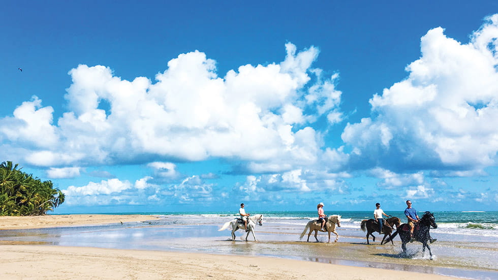 Horseback Riding on the Beach Credit Discover Puerto Rico