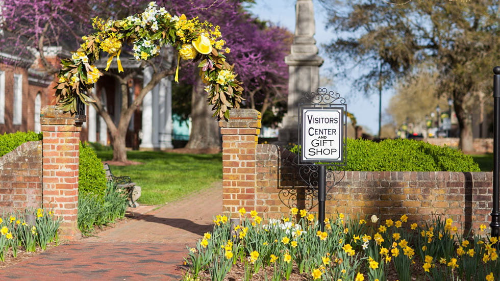 Fresh Daffodil arch flower entrance in Gloucester, Virginia