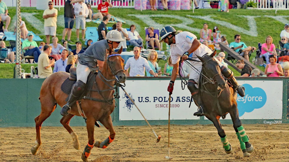 Polo in the Park in Leesburg Virginia 