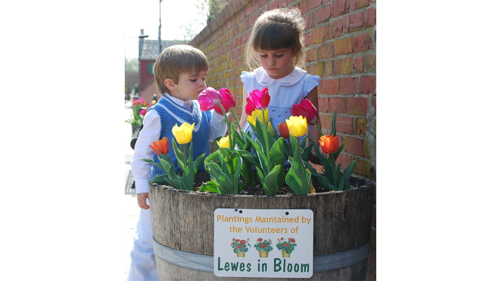Two children looking and smelling tupips at the Lewes Tulip Celebration in Lewes, Delaware