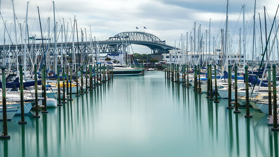 Marina fronting Auckland Harbor Bridge. Photo by Summit Art Creations/Stock.Adobe.com