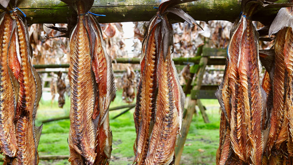 Harðfiskur (Dried Fish) Iceland Food