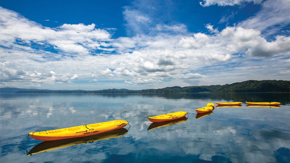 Kayaks on Water