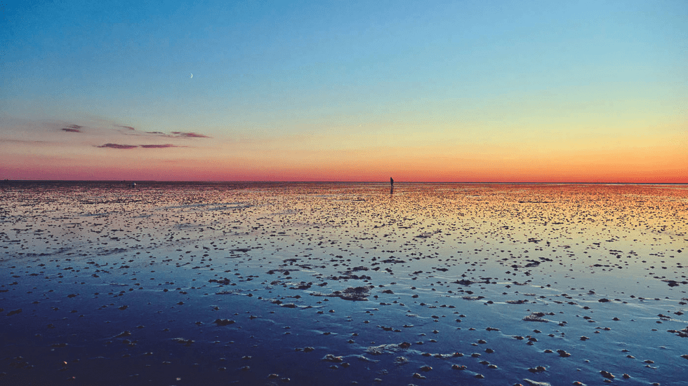 The 500-mile-long tidal mudflats of the Wadden Sea teem with sea life and shorebirds