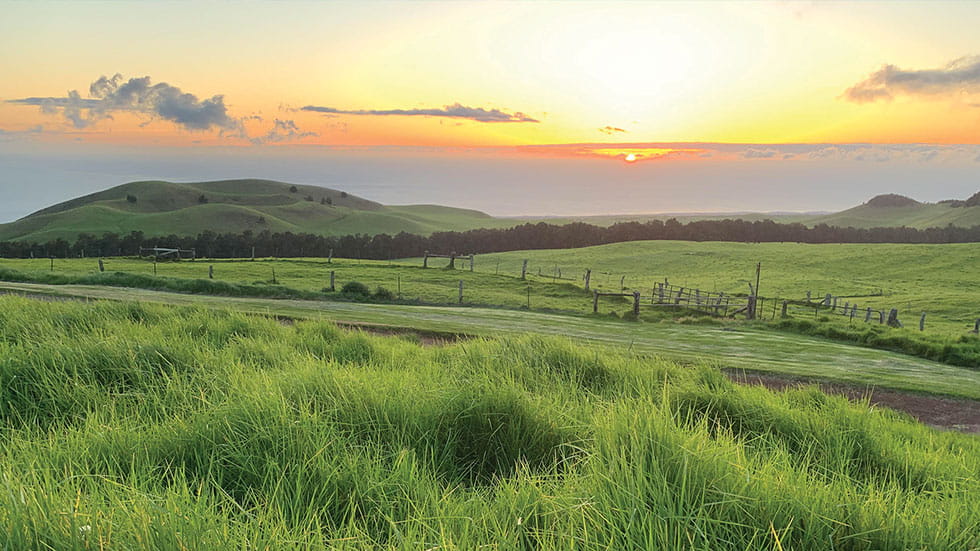 The sun sets over Kahua Ranch in North Kahala. Photo by Janna Graber