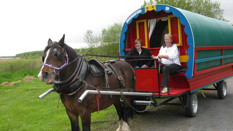 Ireland Mayo Horsedrawn Caravan Holidays