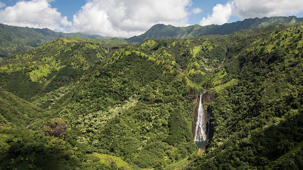Jurassic Park Falls,Kauai, Hawaii