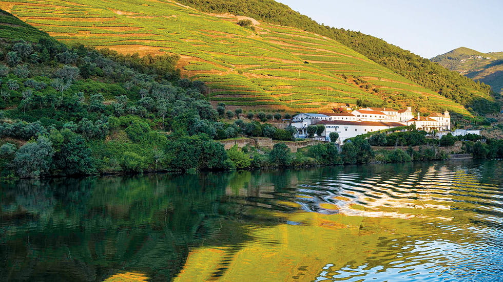 Vineyards abound along the Douro River Photo by Jeri Clausing