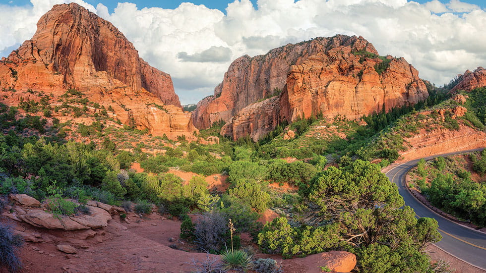 A road winds through the Kolob Canyons district of Zion National Park. Photo by Craig Zerbe/stock.adobe.com