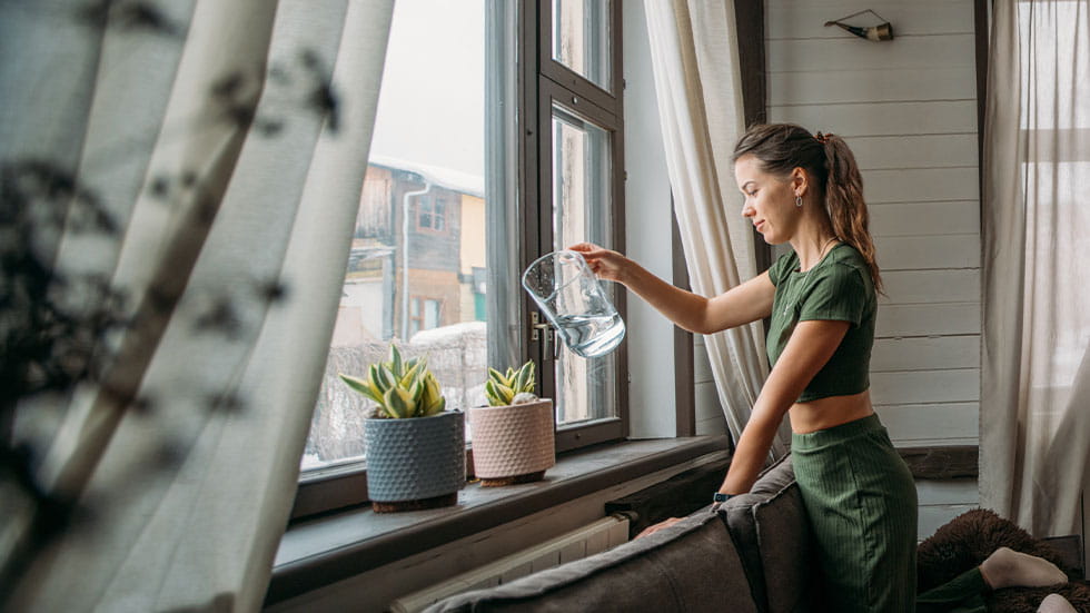 woman watering plants on window sill